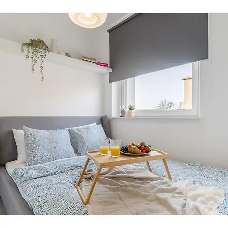 Apartment Shiny *